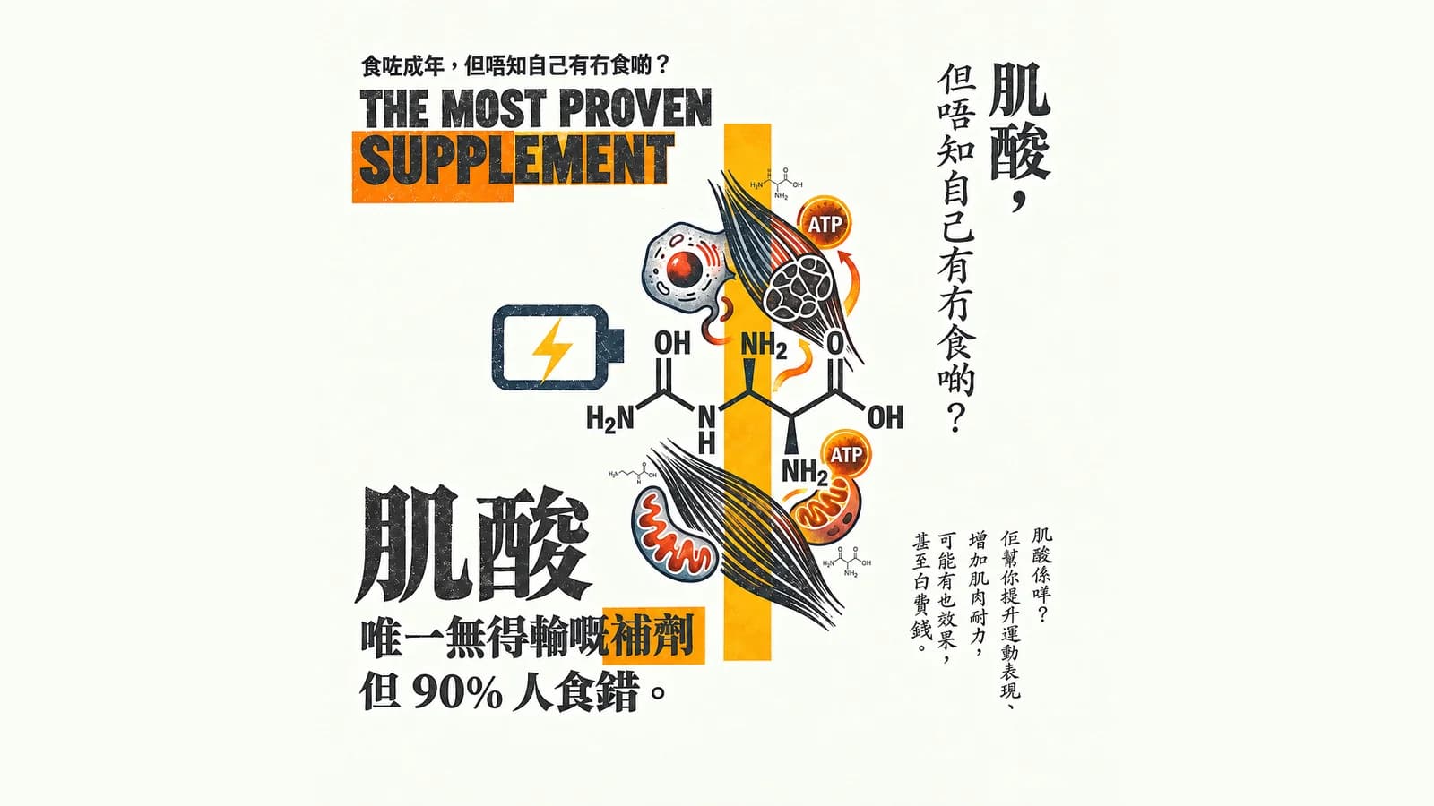 肌酸（Creatine）完全指南：唯一無得輸嘅補劑，點解 90% 人食錯？